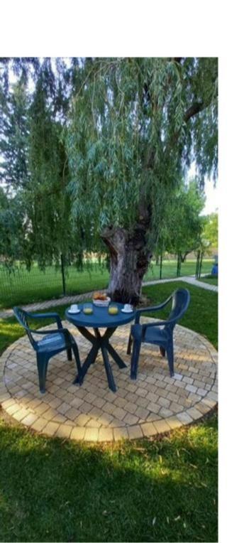 Logement lumineux, entièrement rénové avec jardin Caumont-sur-Durance Esterno foto